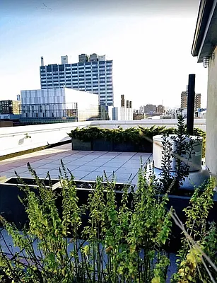 Rented by New York Residence | media 19