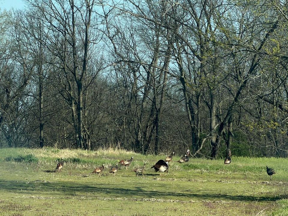 1st image of 3 Cemetery Hill Rd