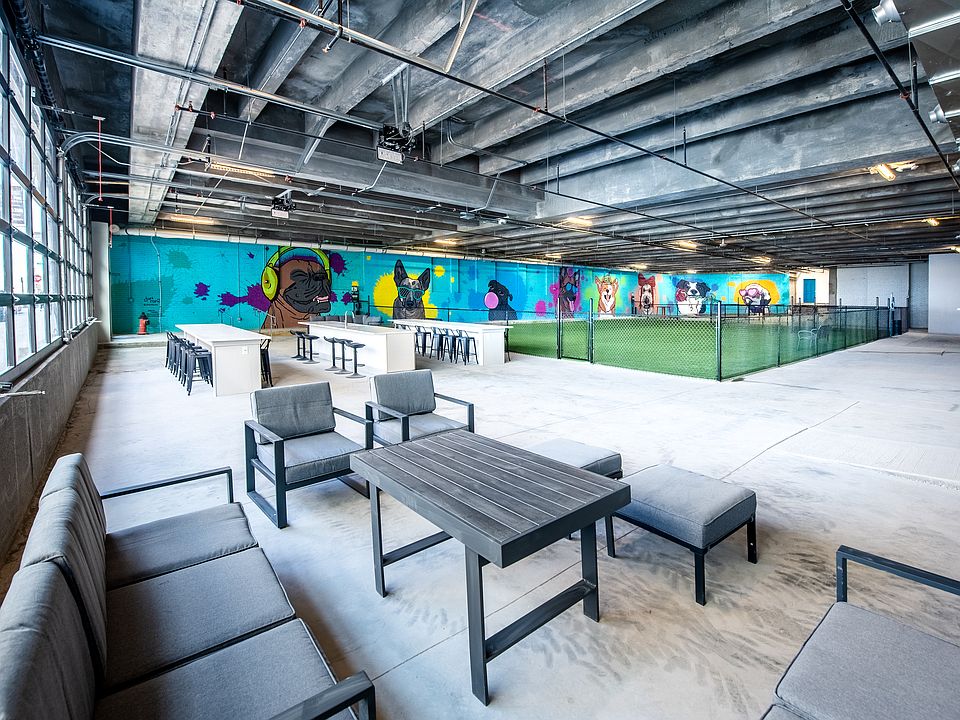 Indoor Dog Park