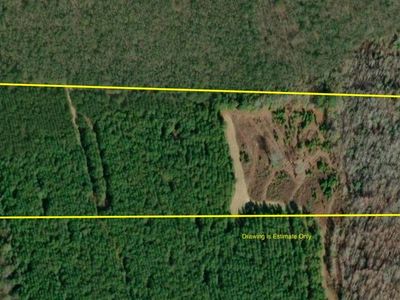 20.5 Acres Tract #4, Cottonwood, AL, 36320