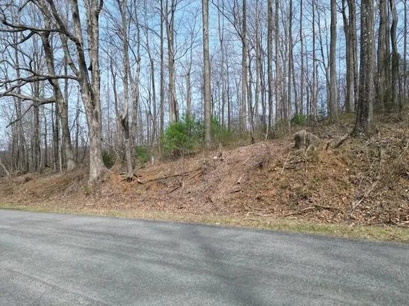 0 Marshall Hill Rd Tract B-2, Ferrum, VA 24088