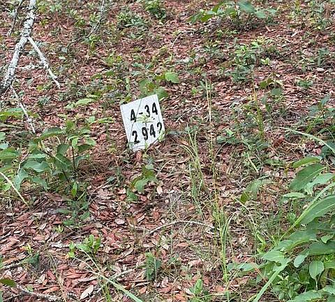 4th image of 2942 Sugar Sand Drive SE LOT 34