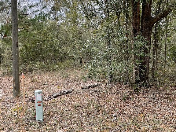 5th image of NW Evergreen Oak Pl