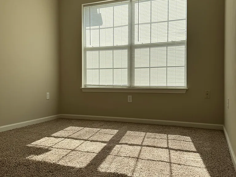 150 Swaying Pine Ct — Photo 14