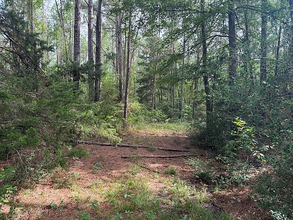 5th image of 6779 County Road 215