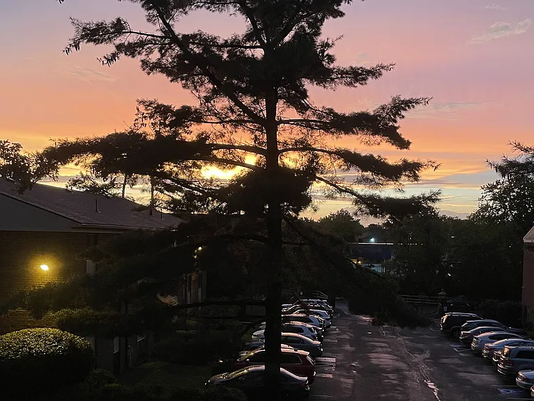 view from the window