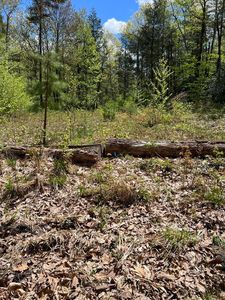 0 Piper Rd, Ashby, MA, 01431