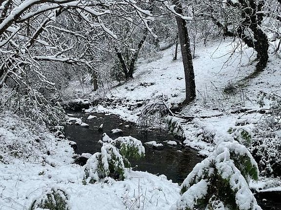 4th image of 18488 Ponderosa Annex Rd