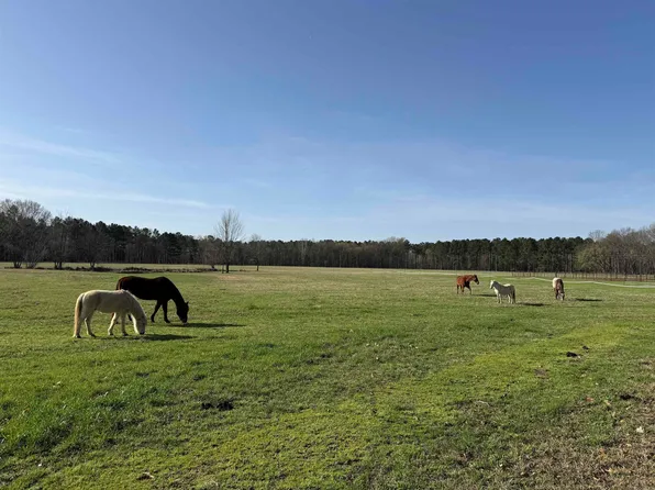 5500 Sunshine Ln, Pangburn, AR 72121
