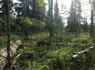 Sec 2 Township 61.0 Rg 19 Lot Blk Ac, Angora, MN 55703