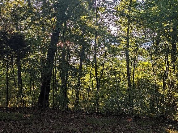 3rd image of Durvin Ln