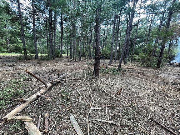 5th image of Kingston Ln