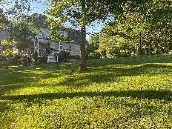 Back Yard Summer 