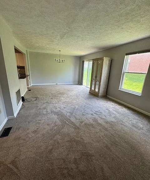 1003 Rural Ridge Dr — Photo 13