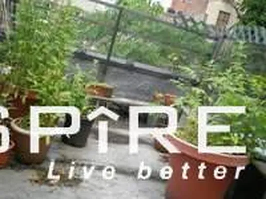 Rented by Spire Group | media 24