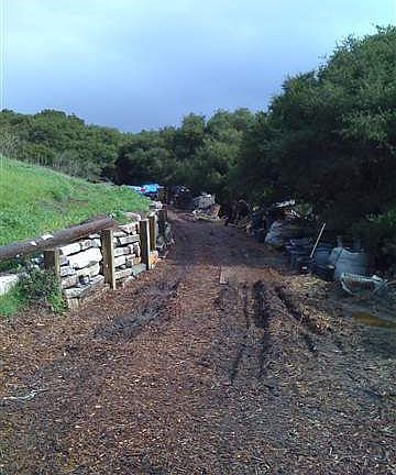3rd image of 4091 Mozart Dr