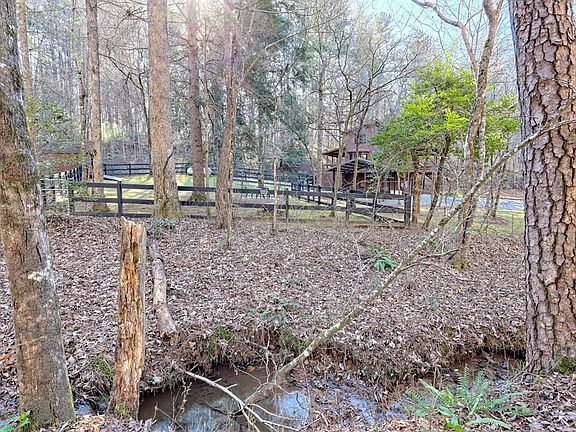 3rd image of 110 Souther Springs Dr