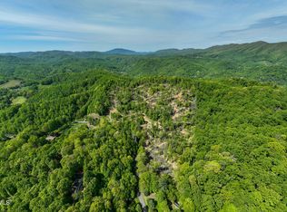 177 Fork Mountain Rd, Roan Mountain, TN 37687