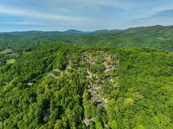 177 Fork Mountain Rd, Roan Mountain, TN 37687