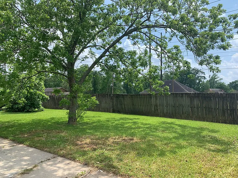Backyard has Pecan and Fig trees