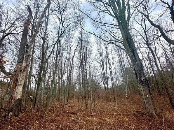 Hitchcock Rd, Lake Ariel, PA 18436