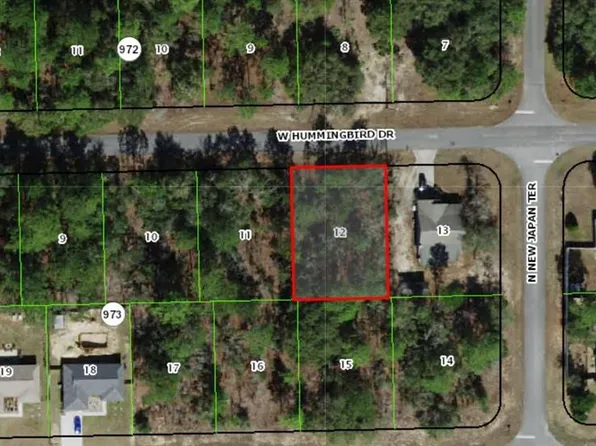 686 W Hummingbird Dr Lot 12, Dunnellon, FL 34434