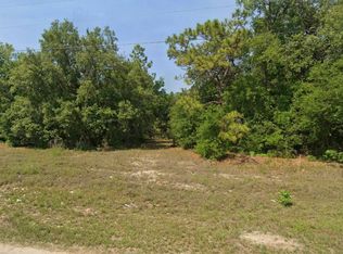 Malauka Run Ct, Ocklawaha, FL 32179