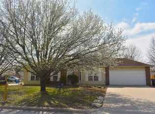 135 Horizon Dr, Branson, MO 65616