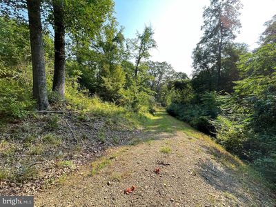 Tupelo Loop, Springfield, WV, 26763