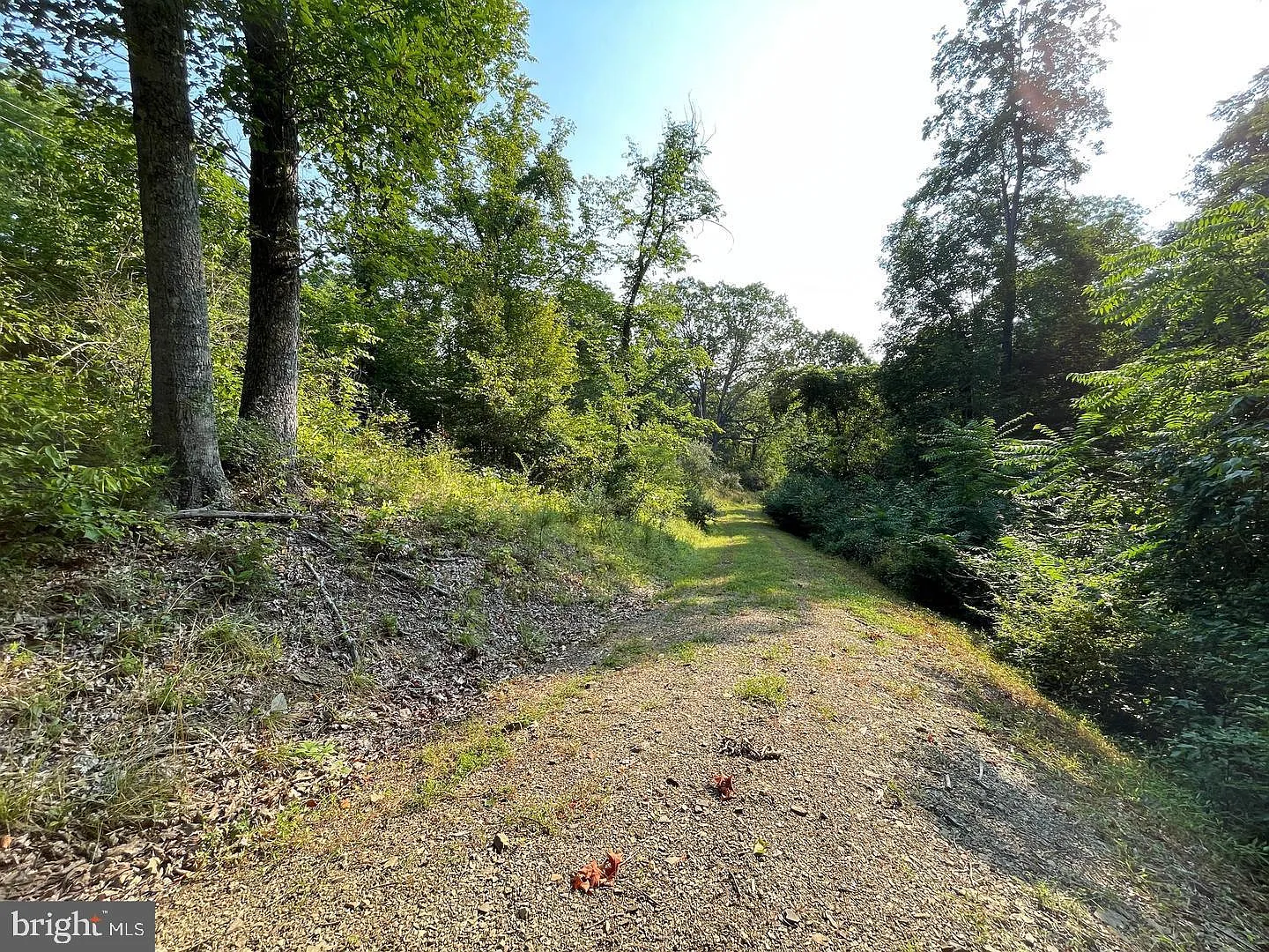 Tupelo Loop photo 1