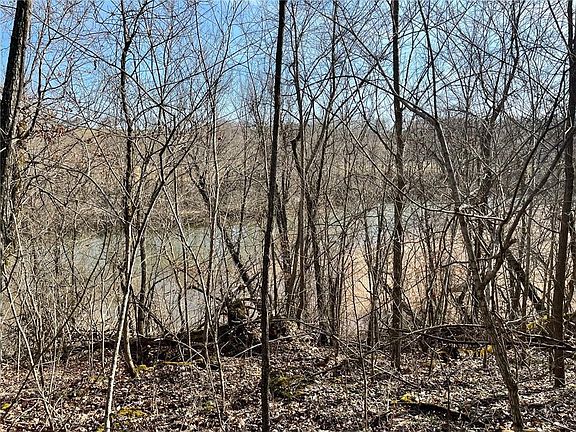 4th image of 98 County Road 4502