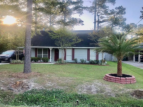 Front yard, new palm!