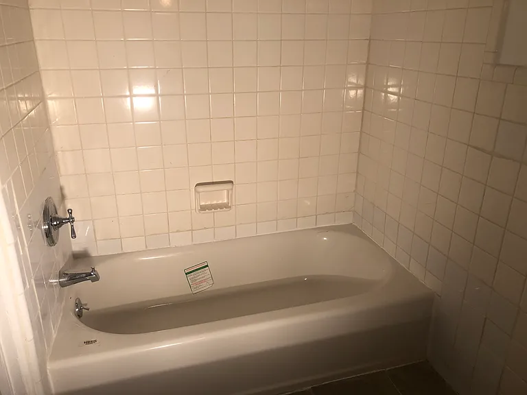 Master Bath Tub