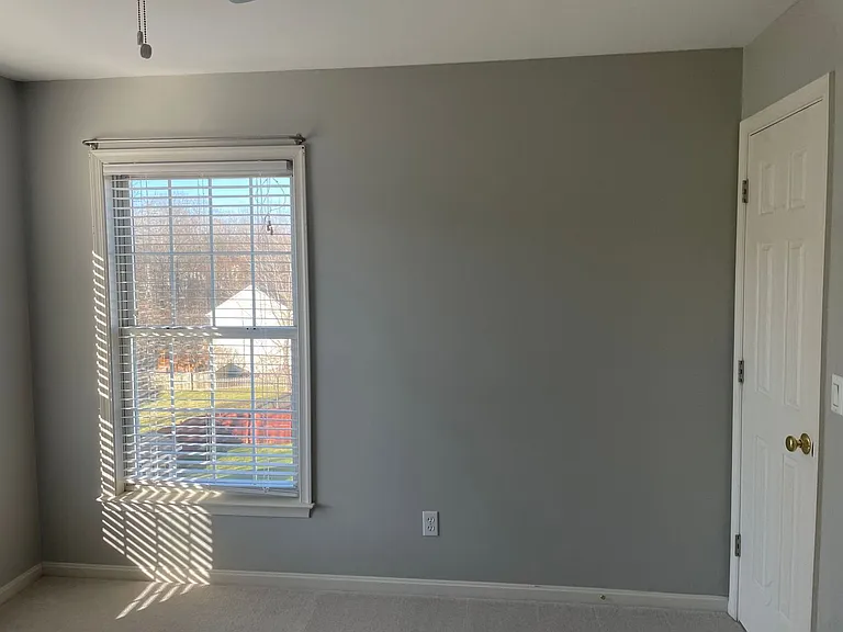 14 Sassafras Ln — Photo 28
