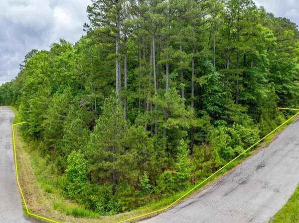 78 Buckhead Dr, Drasco, AR 72530