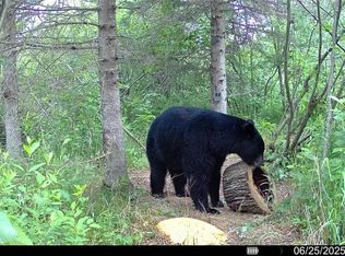 XXX Town Road T, Dairyland, WI 54830