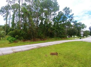 39 E Diamond Dr, Palm Coast, FL 32164