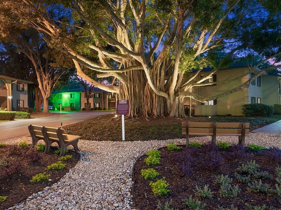 Evening at Banyan Trail's Banyan Tree