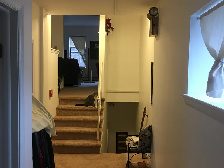 671 Ferry St — Photo 15