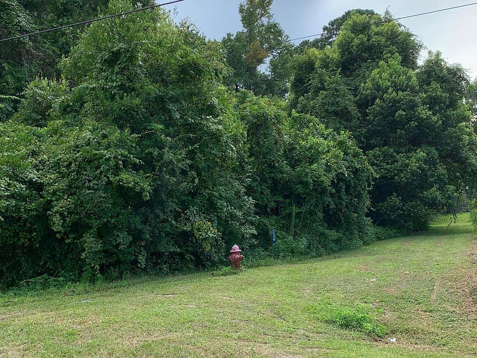1st image of County Road 209