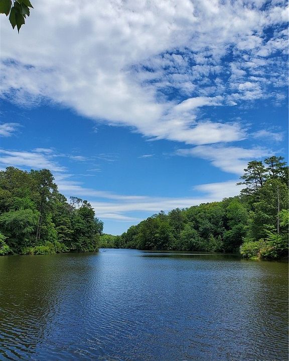 1st image of Lynnlake Ct