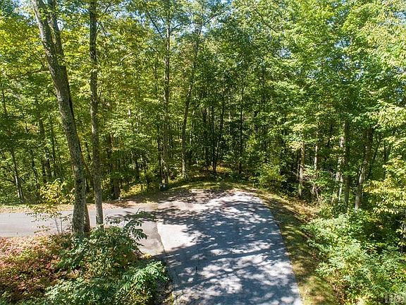 4th image of 238 Cross Vine Dr