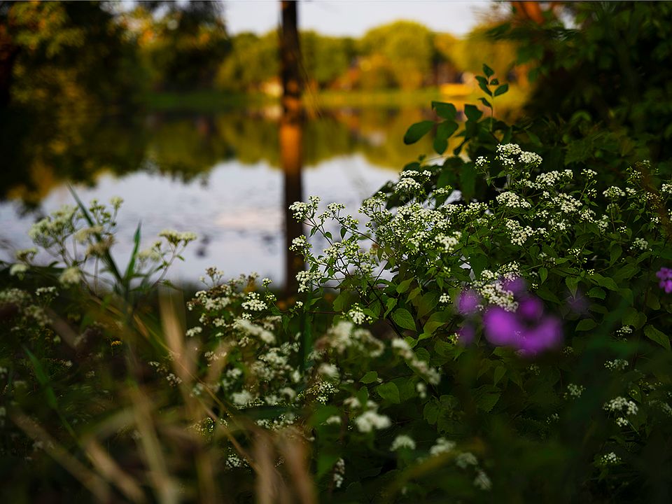 Located right on the shores of Lake Schmidt!