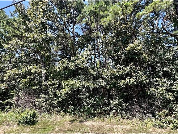 2nd image of 1 Mountain Home Rd