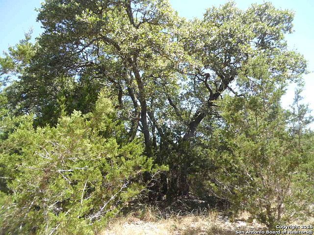1st image of 339 Timberline Trl