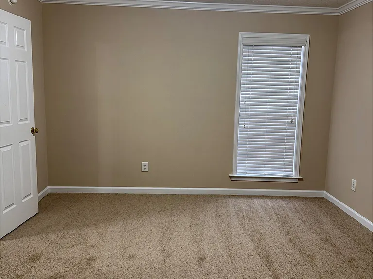 8213 Dison Dr — Photo 5