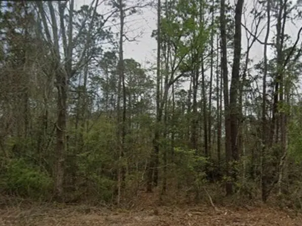 0 Aila St Lot 10, Diamondhead, MS 39525