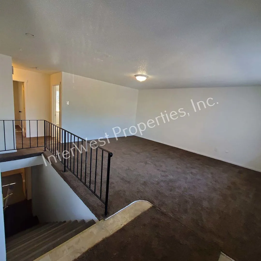 KNIG — Photo 4