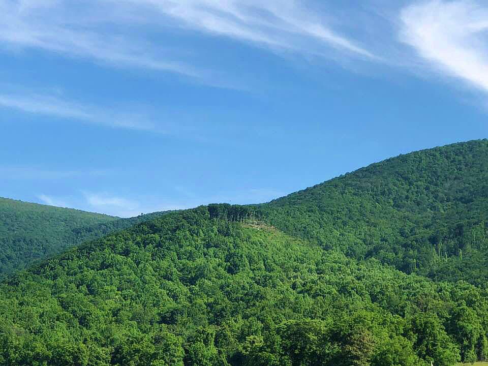 1st image of 0 Long Leaf Dr