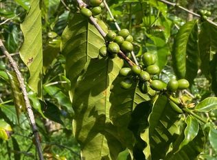 84-1226 Bruner Rd LOT 95, Captain Cook, HI 96704